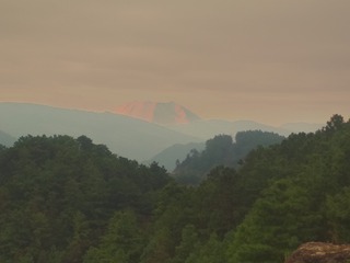 288049