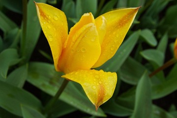 DSC02715.jpg