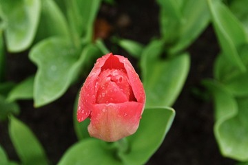 DSC02720.jpg