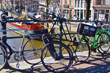 DSC02216.jpg