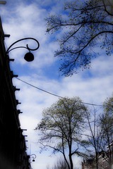 DSC02286.jpg