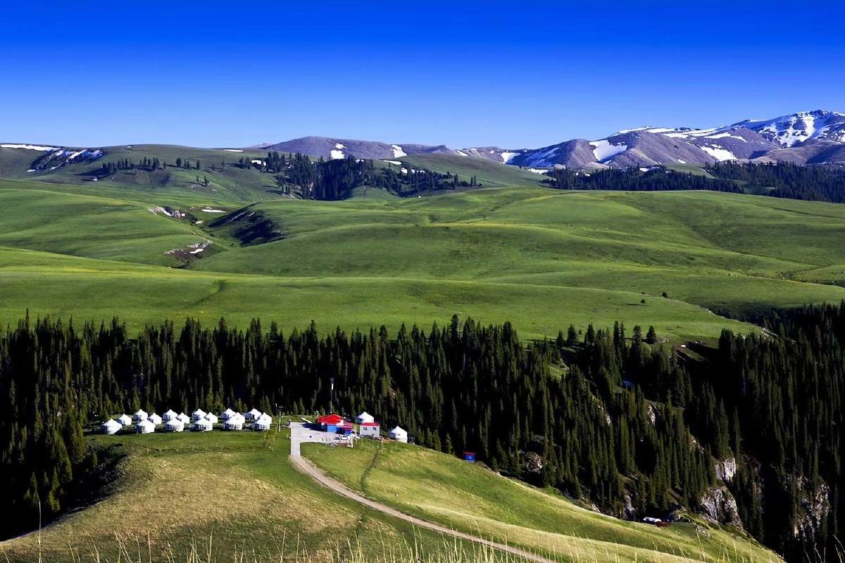 新疆天山草原美景