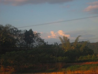 3267122