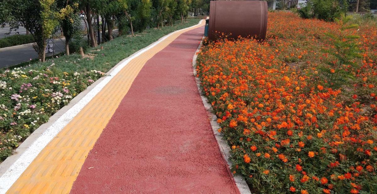 夏天路边的色彩