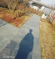 360