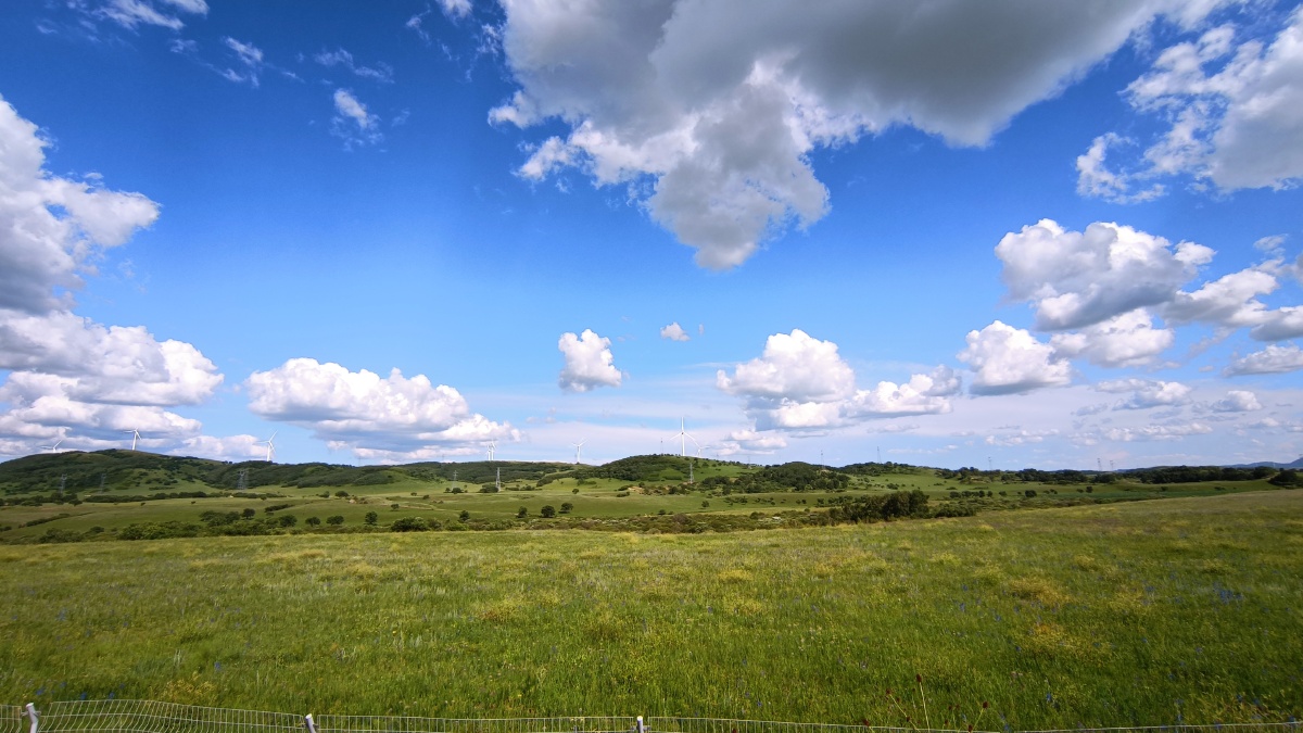 辽阔而静谧的草原心中完美的撒野地牛羊做了背景大地披上了绿毯