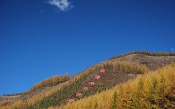 塞罕坝风光