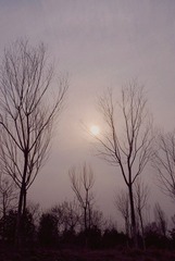 29
