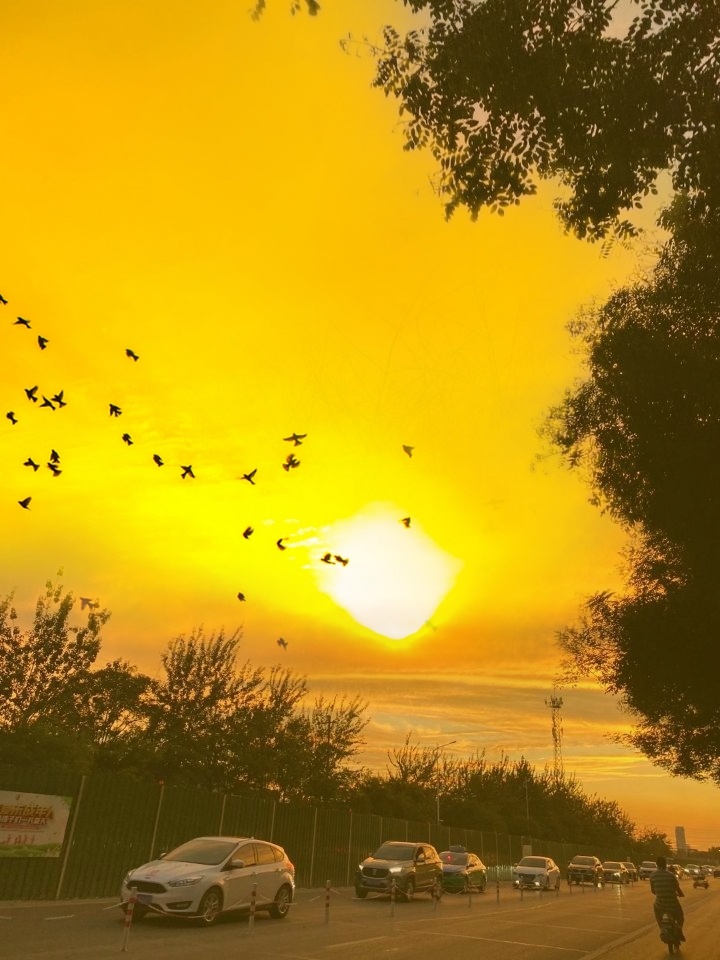 夕阳西下,断肠人在天涯