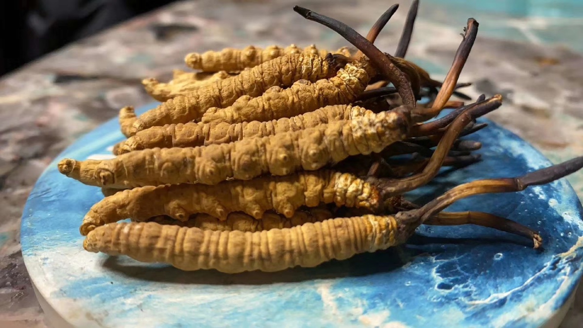 雪域珍品天赐礼物