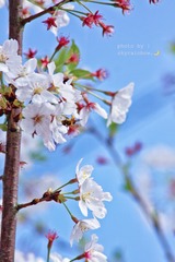 20F3E996-CDE9-4CA4-9CF2-3C831EF28928/L0/001