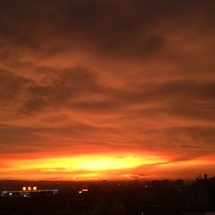 37FE9F9D-E97A-430E-BF12-7827C2F4D398/L0/001
