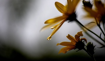 D7B46AD3-556F-4409-AB75-193F3BB46E84/L0/001