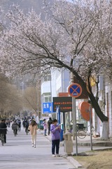 CD06EC8C-7598-4E9B-8008-053CD5AC1B30/L0/001