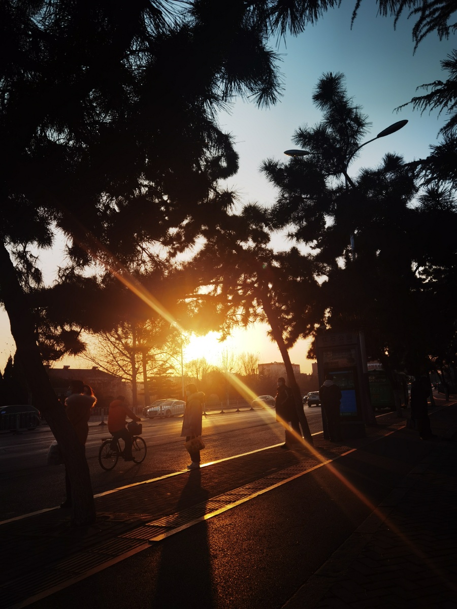 冬日傍晚的阳光