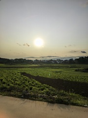 1000017881