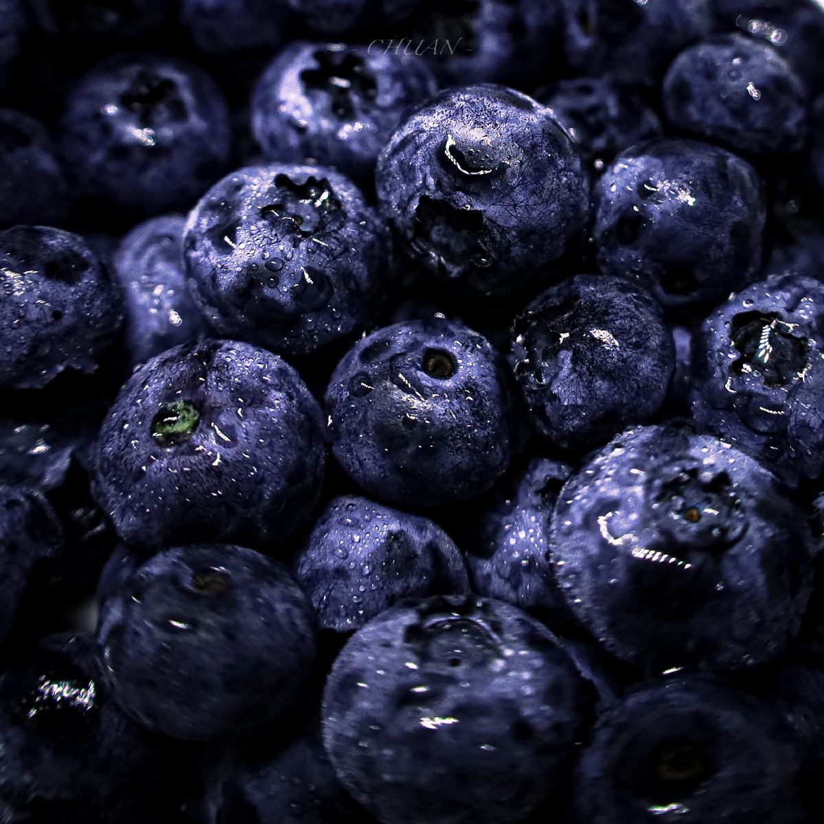 蓝莓