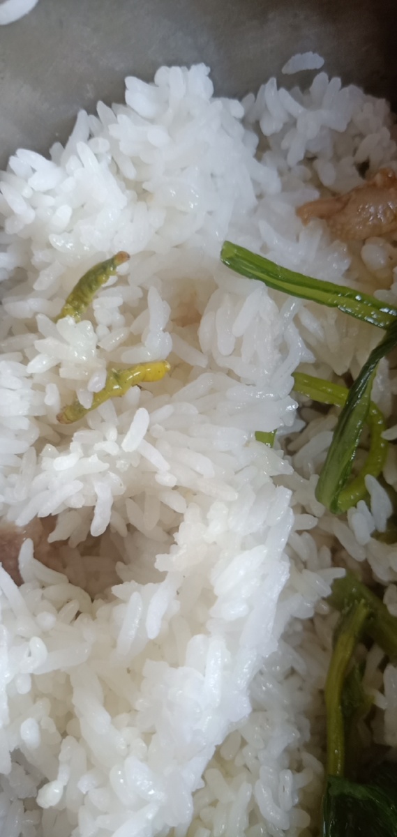 生活艰难,没钱吃饭