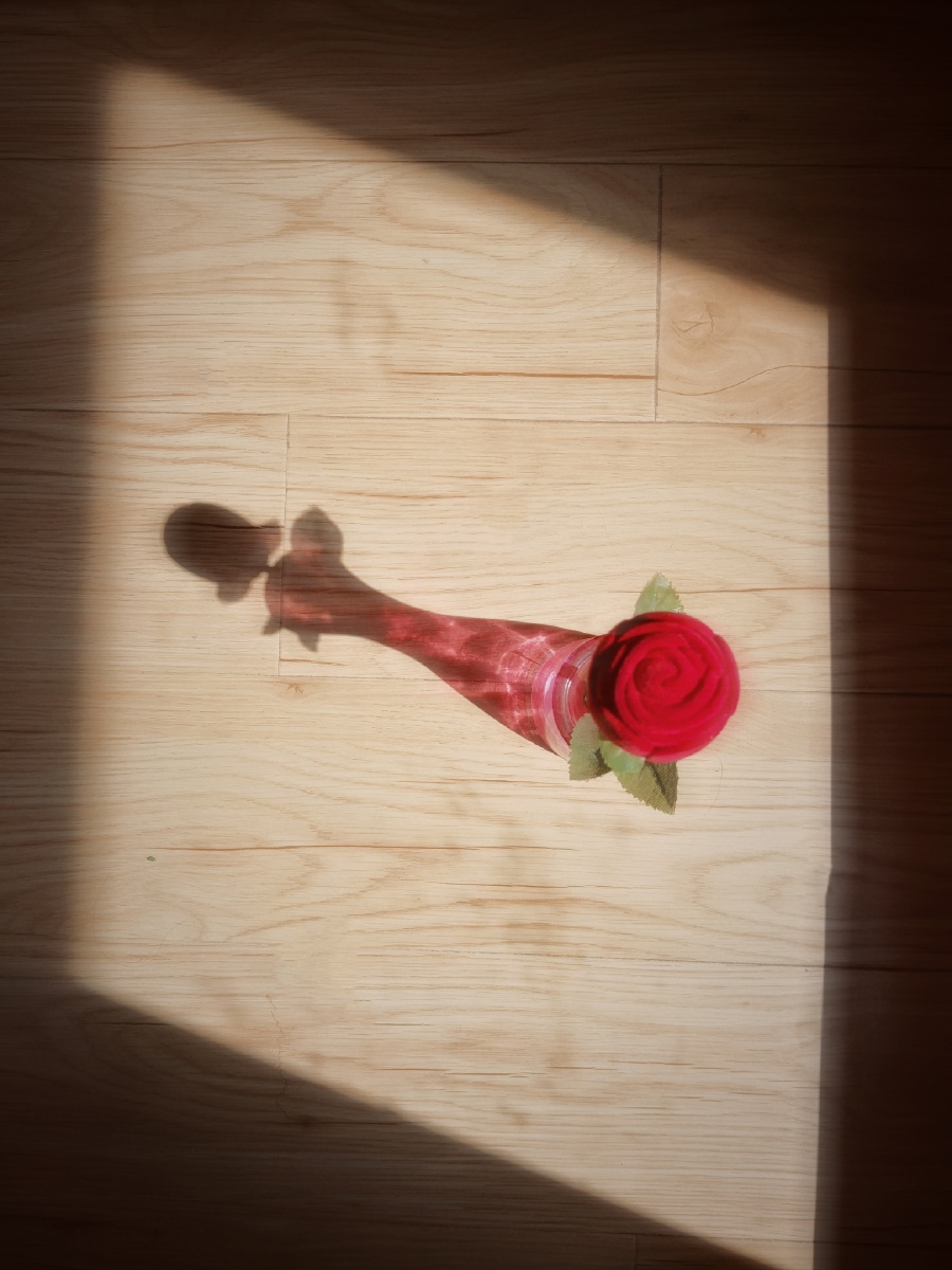 玫瑰花的影子里住着一位公主