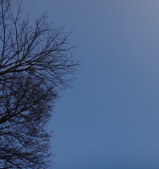 C5D01E30-367F-4AA3-954E-0BA49D048861/L0/001