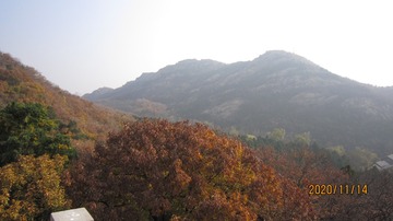 520050
