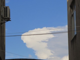 2616581
