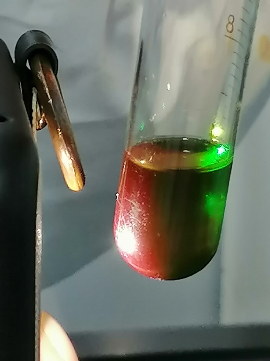 叶绿素的荧光现象——在投射光下呈绿色,反射光下呈红色