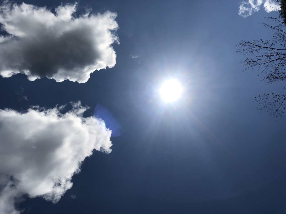 今天天气好好出来逛一逛分享一下我刚刚拍的照片