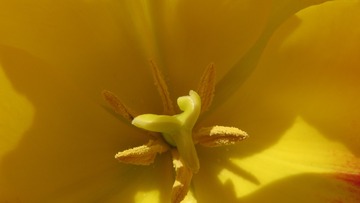 1094519