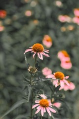 A81F4B95-3752-4B9E-A21F-3E1EF81E87A7/L0/001