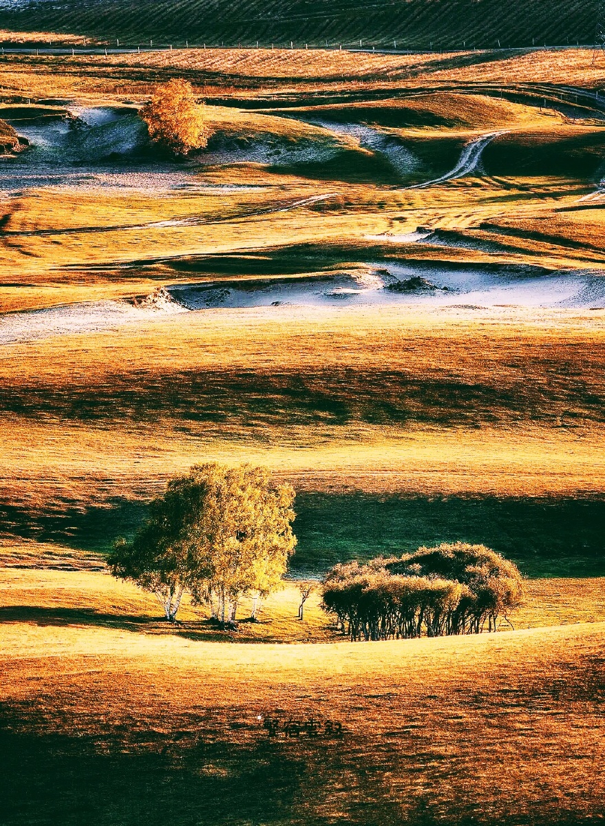 塞罕坝美丽的高岭秋天是塞罕坝最美的时候