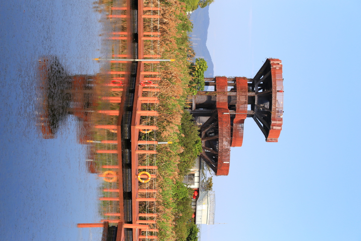 芒洲湿地公园风光摄影