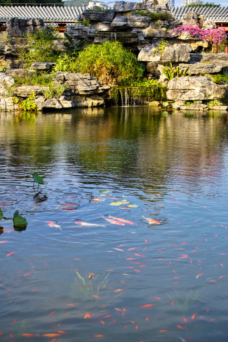 珠海海天公园摄影