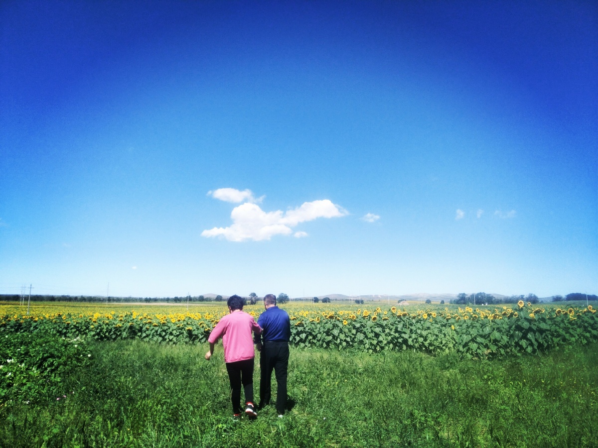 爸爸妈妈的背影相互扶持慢慢变老