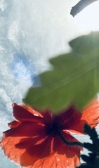 69082F2D-E1D9-4CBC-A544-3754DFE10B4B/L0/001