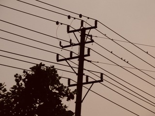 48046F93-4461-4CC7-847E-051B91D06B45/L0/001