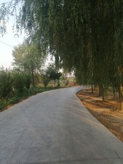 1735464