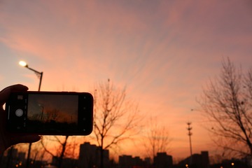 56AE7144-064E-476A-AE41-58B22E0B9D15/L0/001