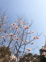 F56E37FC-7E37-4A92-9795-0996ED2D5A72/L0/001