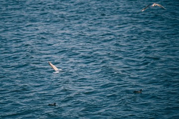 F97FF243-FCAF-403F-8349-49261610E183/L0/001
