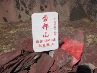84354