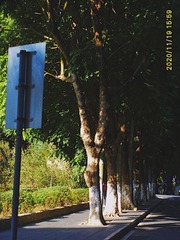 E28D371E-FFC6-4011-B9FC-1400AC600391/L0/001