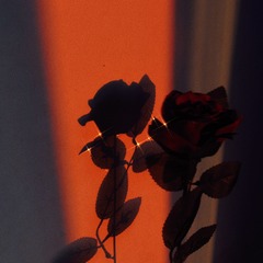 2DDC3F35-7815-4D18-A536-B88B5F3756CE/L0/001