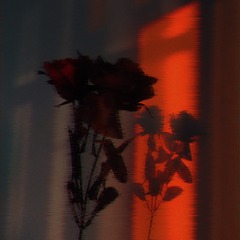 97745020-972C-427E-9061-92C2087BE9BF/L0/001