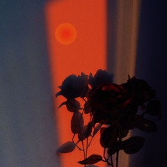 98B94BD7-8246-452F-AEE4-76C0A629C7CE/L0/001