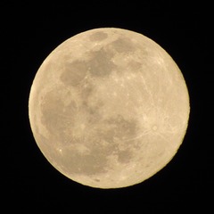 84092006-0A77-475D-A4B7-361A7CDA9A75/L0/001
