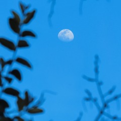 5CA1F0B8-691E-4619-A0DE-3658FF32C079/L0/001