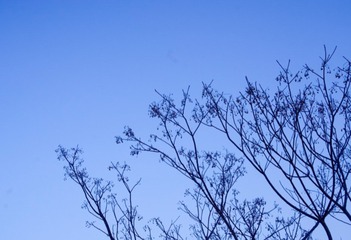 25D8D4C2-252C-4699-B53C-2A89029135D0/L0/001