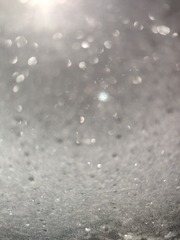 1000226319