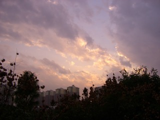 64429F9C-621F-4807-8D1F-AAD96618215D/L0/001